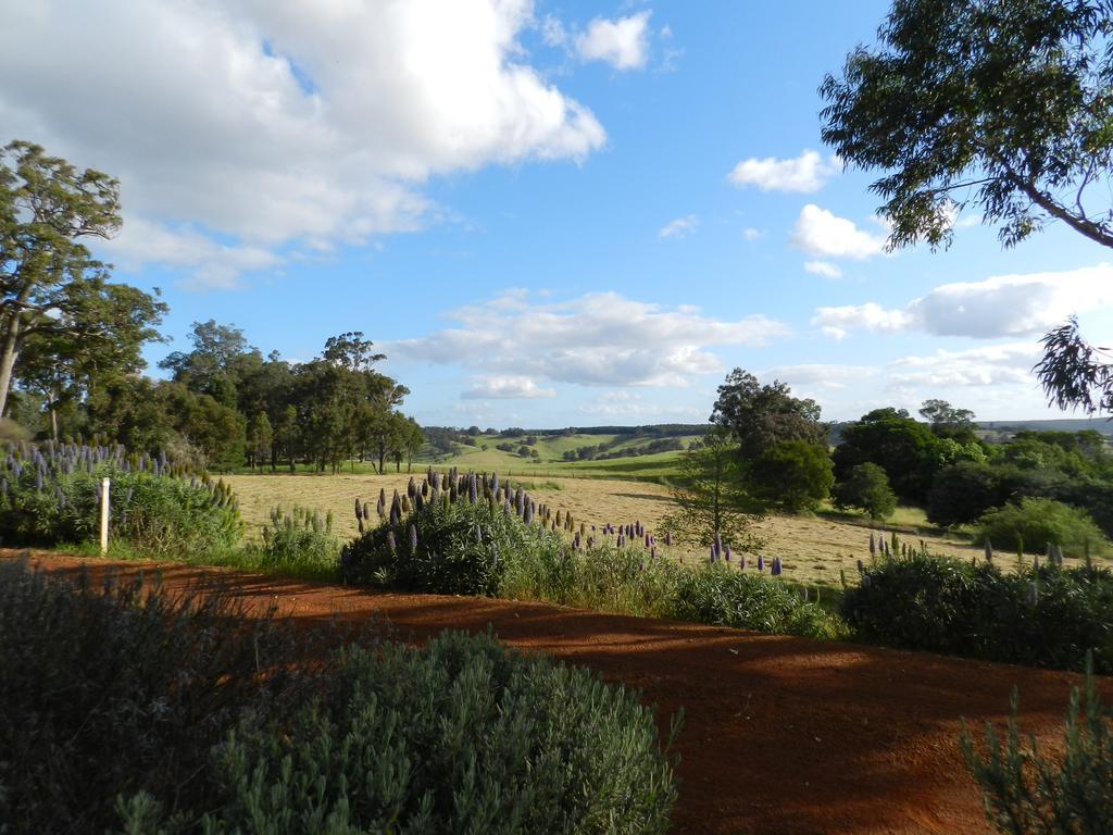 مبيت وإفطار Kangaroo Gully دار ضيافة شامبالا المظهر الخارجي الصورة