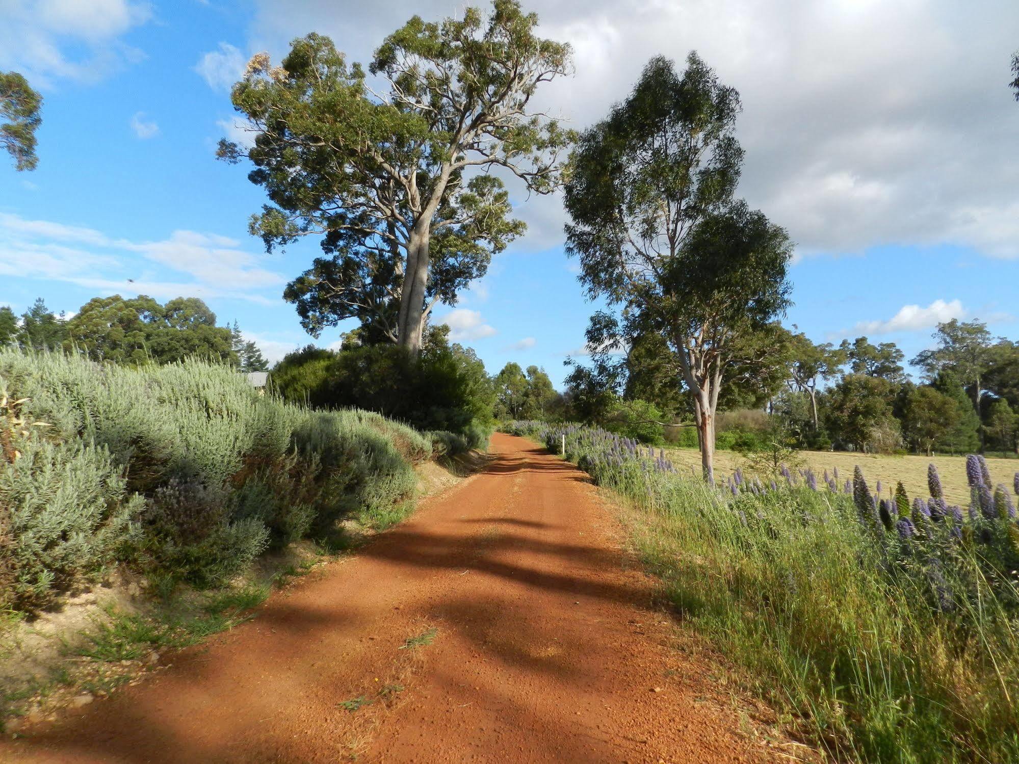 مبيت وإفطار Kangaroo Gully دار ضيافة شامبالا المظهر الخارجي الصورة